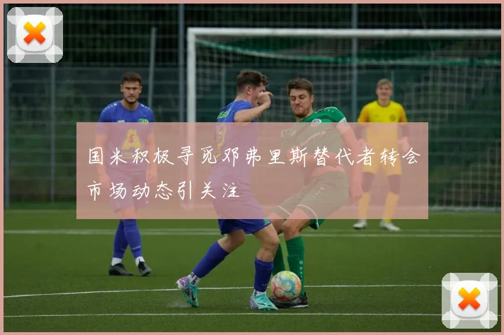国米积极寻觅邓弗里斯替代者转会市场动态引关注