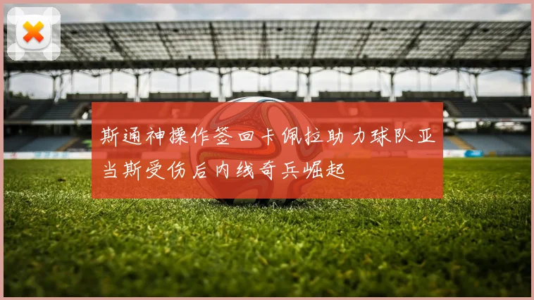 斯通神操作签回卡佩拉助力球队亚当斯受伤后内线奇兵崛起