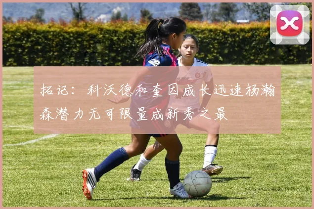 拓记：科沃德和奎因成长迅速杨瀚森潜力无可限量成新秀之最