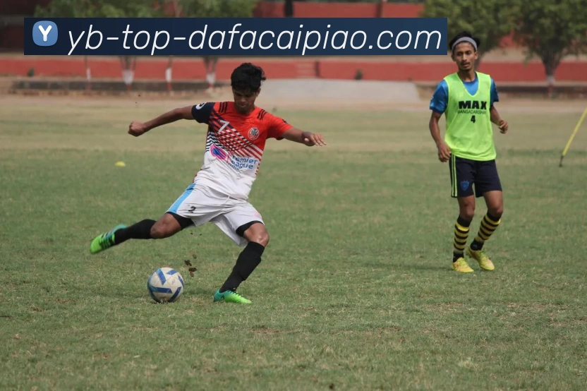 大发彩票服务体系